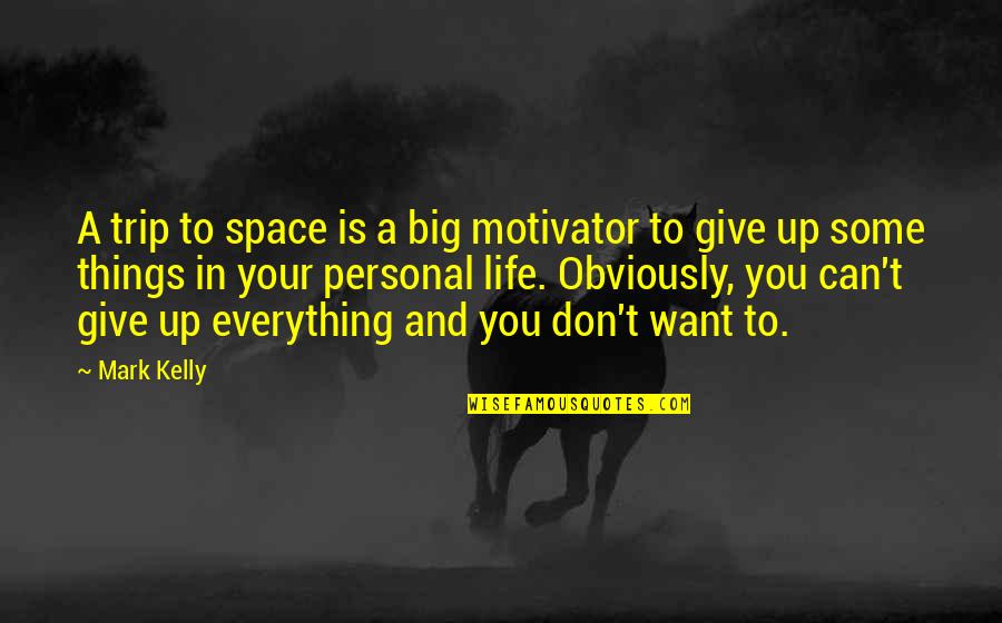 Everything's Up To You Quotes By Mark Kelly: A trip to space is a big motivator