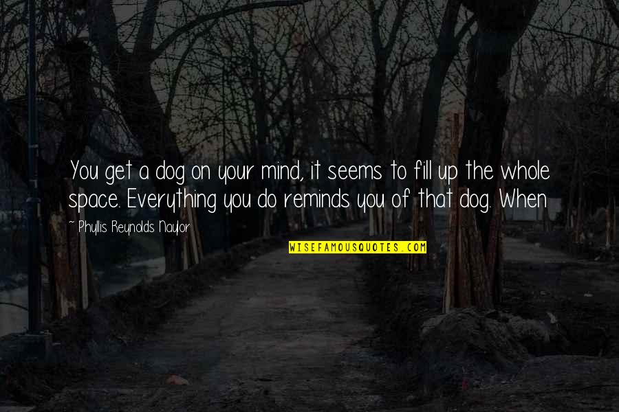 Everything's Up To You Quotes By Phyllis Reynolds Naylor: You get a dog on your mind, it