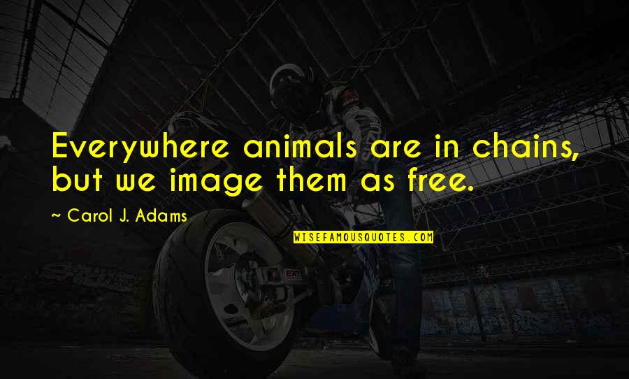 Everywhere Quotes By Carol J. Adams: Everywhere animals are in chains, but we image