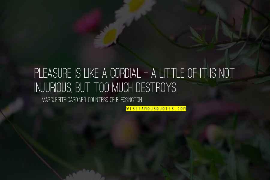 Evie Jenner Quotes By Marguerite Gardiner, Countess Of Blessington: Pleasure is like a cordial - a little Evie Jenner Quotes By Marguerite Gardiner, Countess Of Blessington: Pleasure is like a cordial - a little