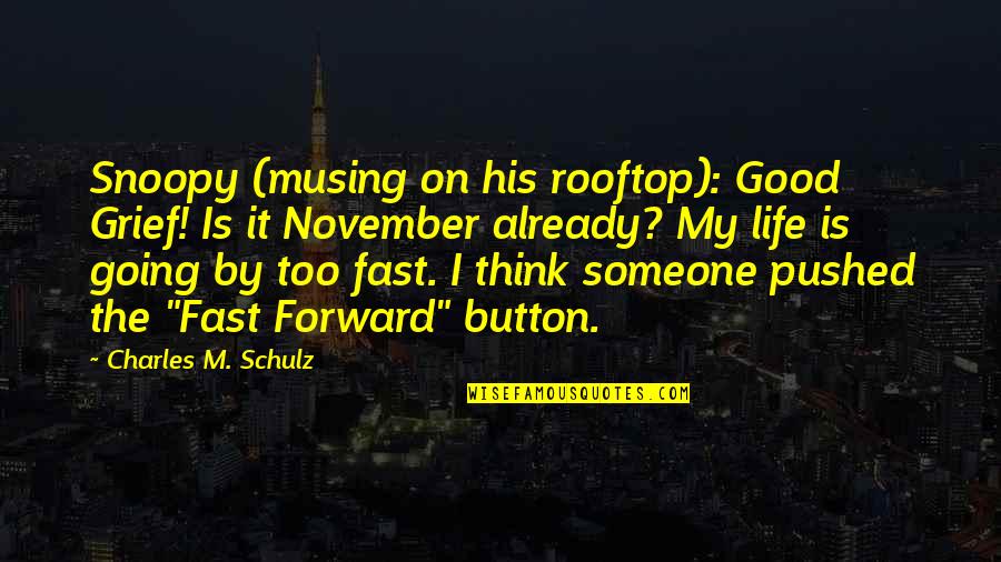 Evil Actions Quotes By Charles M. Schulz: Snoopy (musing on his rooftop): Good Grief! Is