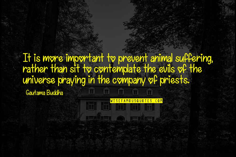 Evil And Suffering Quotes By Gautama Buddha: It is more important to prevent animal suffering,