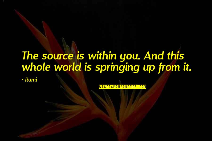 Evil Dead 1981 Quotes By Rumi: The source is within you. And this whole