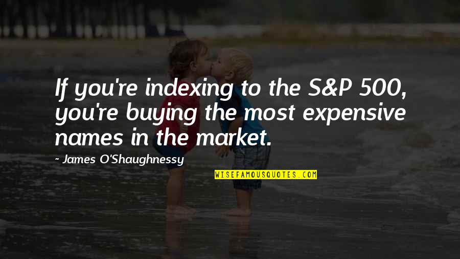 Evil Family Quotes By James O'Shaughnessy: If you're indexing to the S&P 500, you're