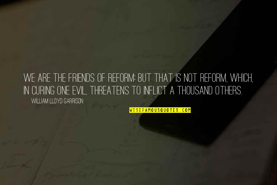 Evil Friends Quotes By William Lloyd Garrison: We are the friends of reform; but that
