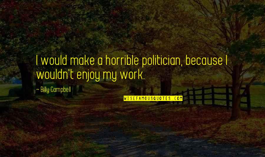 Evil Plot Quotes By Billy Campbell: I would make a horrible politician, because I