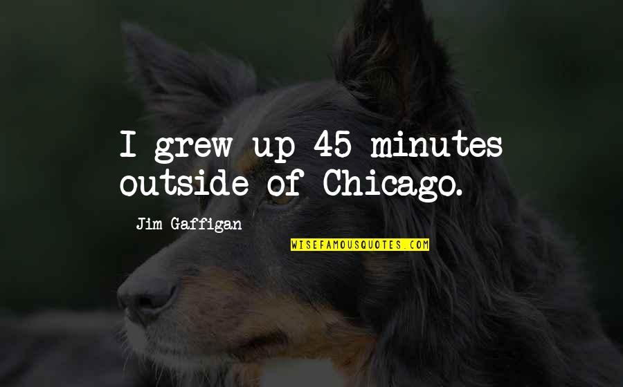 Evils Of Society Quotes By Jim Gaffigan: I grew up 45 minutes outside of Chicago.