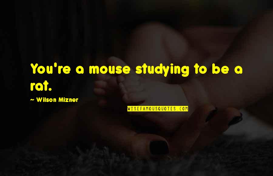 Evils Of Society Quotes By Wilson Mizner: You're a mouse studying to be a rat. Evils Of Society Quotes By Wilson Mizner: You're a mouse studying to be a rat.