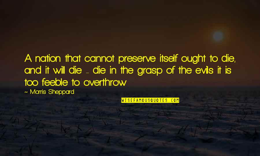 Evils Quotes By Morris Sheppard: A nation that cannot preserve itself ought to
