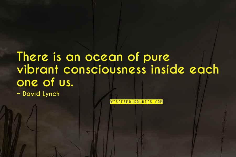 Evitar En Quotes By David Lynch: There is an ocean of pure vibrant consciousness