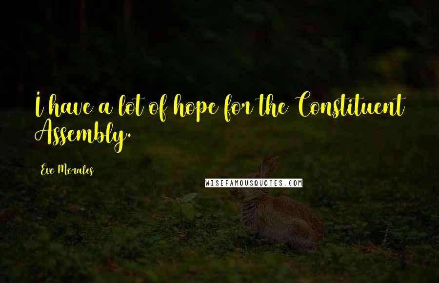 Evo Morales quotes: I have a lot of hope for the Constituent Assembly.