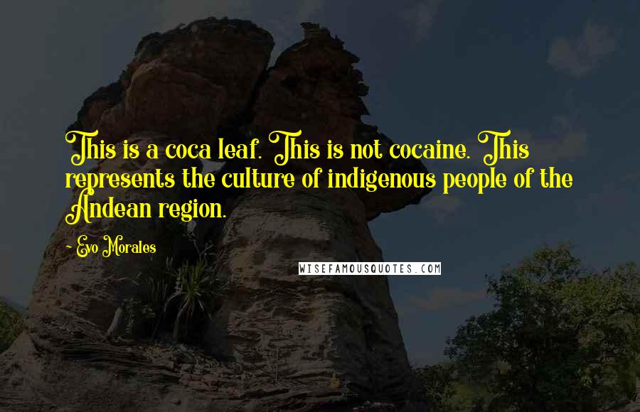 Evo Morales quotes: This is a coca leaf. This is not cocaine. This represents the culture of indigenous people of the Andean region. Evo Morales quotes: This is a coca leaf. This is not cocaine. This represents the culture of indigenous people of the Andean region.