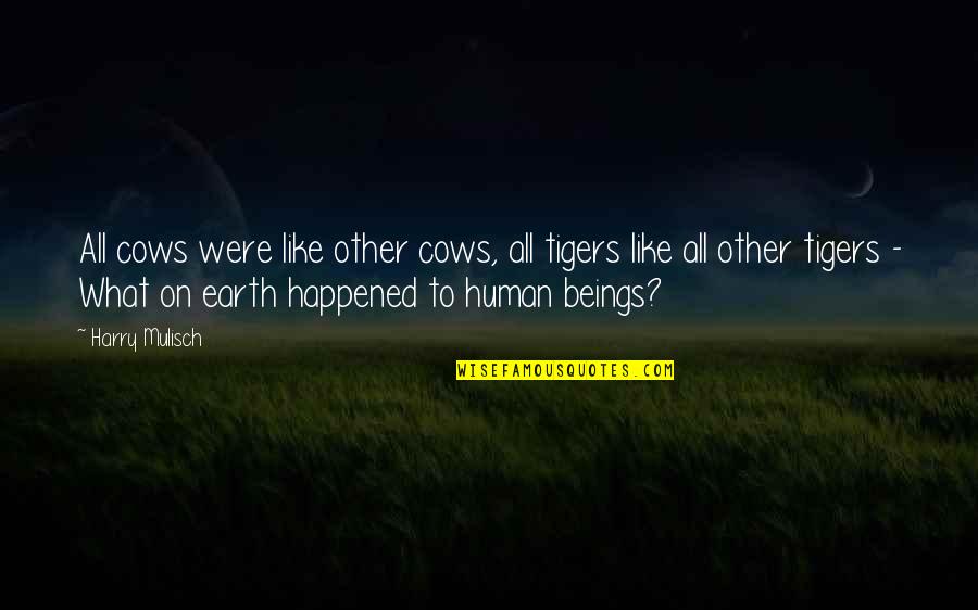 Evolution Humor Quotes By Harry Mulisch: All cows were like other cows, all tigers Evolution Humor Quotes By Harry Mulisch: All cows were like other cows, all tigers