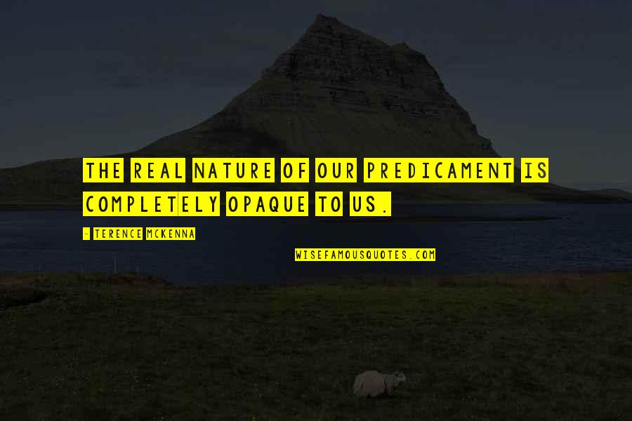 Evolution Humor Quotes By Terence McKenna: The real nature of our predicament is completely Evolution Humor Quotes By Terence McKenna: The real nature of our predicament is completely