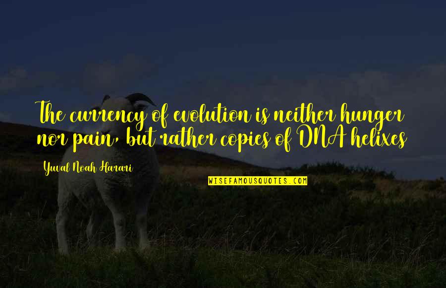 Evolution Quotes By Yuval Noah Harari: The currency of evolution is neither hunger nor
