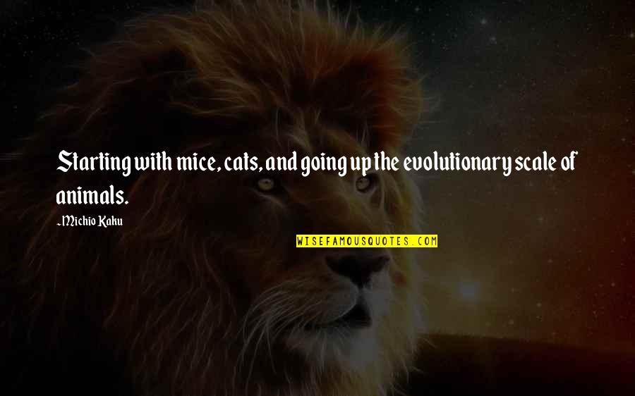 Evolutionary Quotes By Michio Kaku: Starting with mice, cats, and going up the
