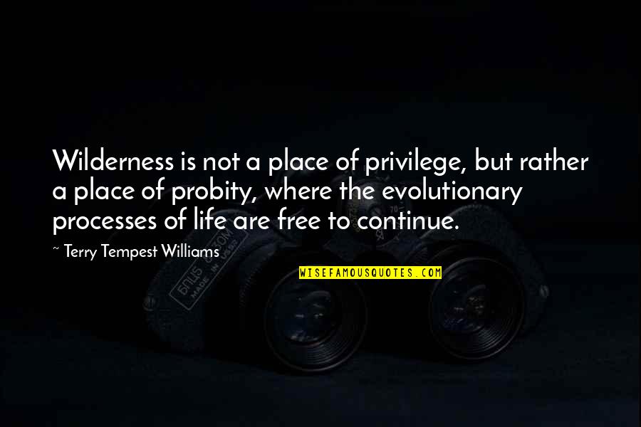 Evolutionary Quotes By Terry Tempest Williams: Wilderness is not a place of privilege, but