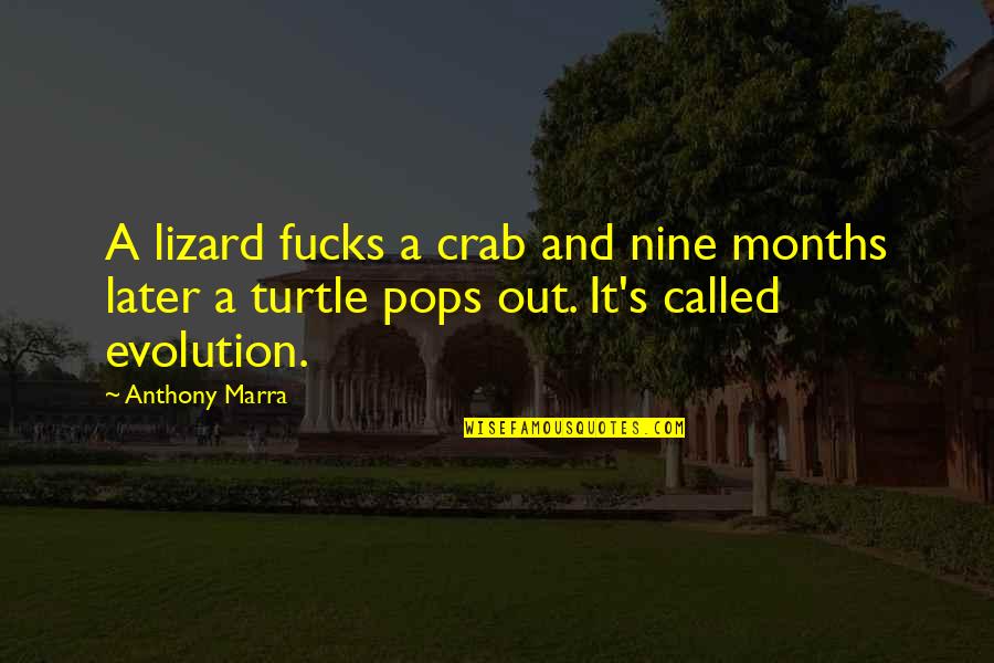 Evolution's Quotes By Anthony Marra: A lizard fucks a crab and nine months