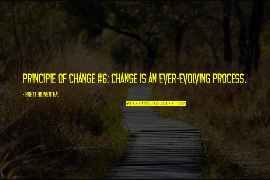 Evolving And Change Quotes By Brett Blumenthal: Principle of Change #6: Change is an ever-evolving