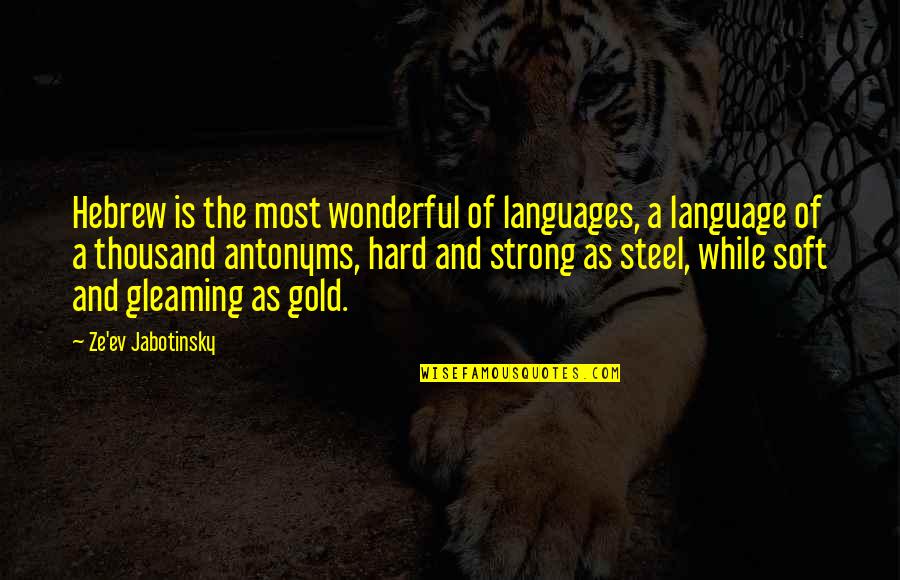 Ev'rythin's Quotes By Ze'ev Jabotinsky: Hebrew is the most wonderful of languages, a Ev'rythin's Quotes By Ze'ev Jabotinsky: Hebrew is the most wonderful of languages, a