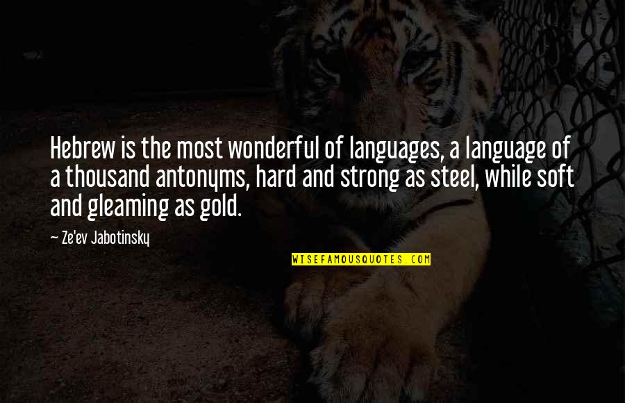 Ev'rywhere Quotes By Ze'ev Jabotinsky: Hebrew is the most wonderful of languages, a
