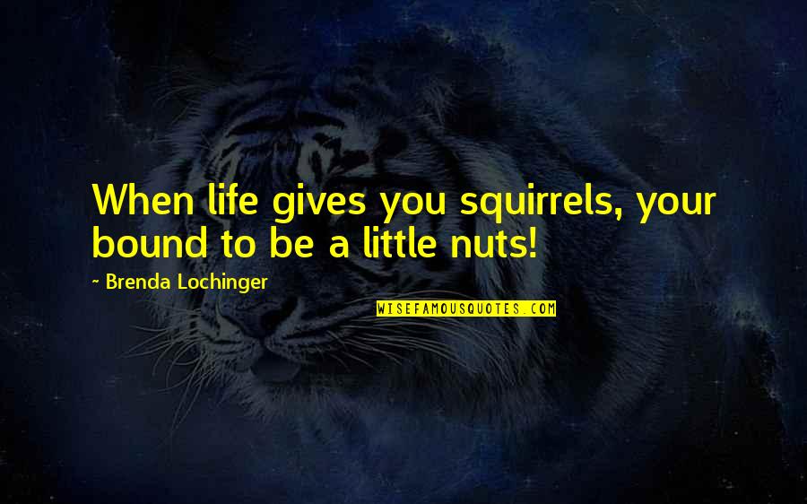 Ewe Bible Quotes By Brenda Lochinger: When life gives you squirrels, your bound to