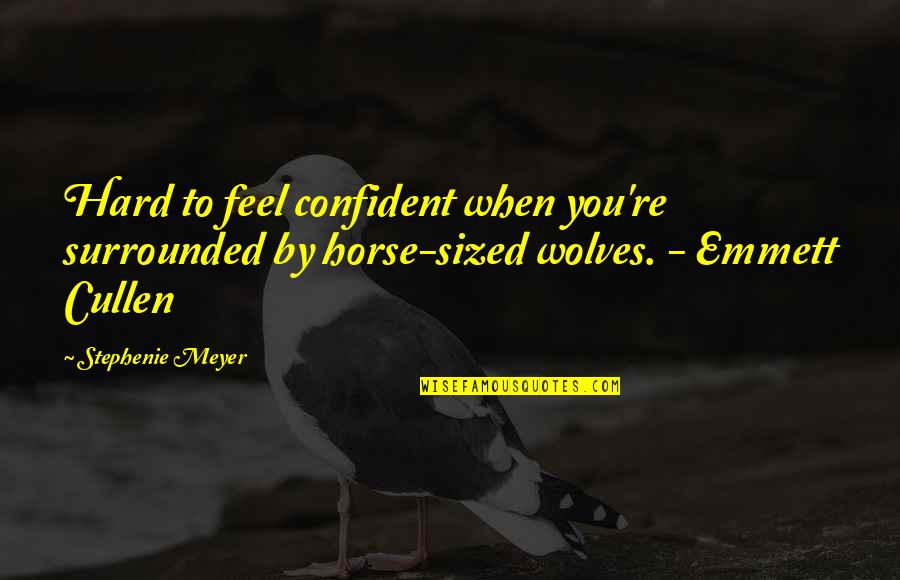 Ewes Sheep Quotes By Stephenie Meyer: Hard to feel confident when you're surrounded by