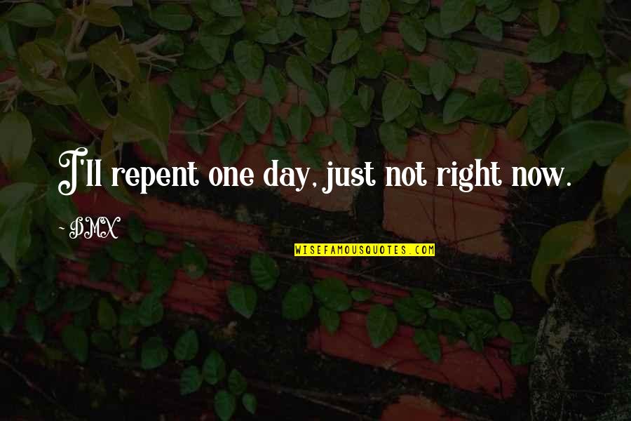 Ewgen Quotes By DMX: I'll repent one day, just not right now.