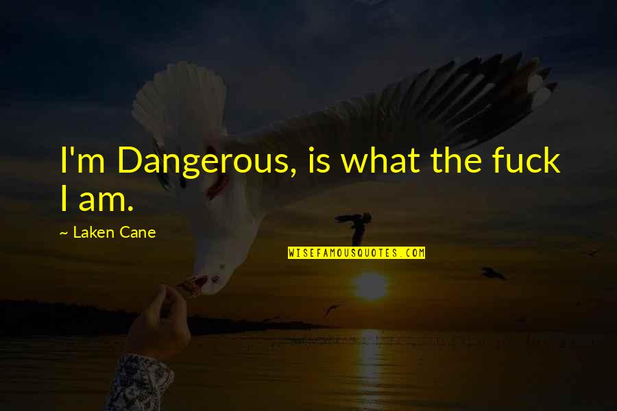 Ewiges Eis Quotes By Laken Cane: I'm Dangerous, is what the fuck I am.