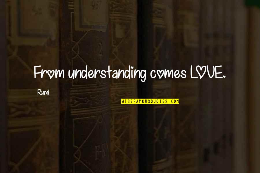 Ex Bffs Quotes By Rumi: From understanding comes LOVE.