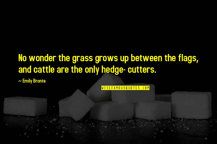 Ex Cutters Quotes By Emily Bronte: No wonder the grass grows up between the