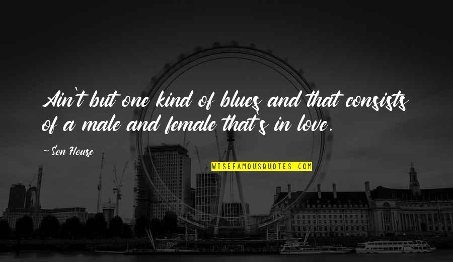 Exact Revenge Quote Quotes By Son House: Ain't but one kind of blues and that