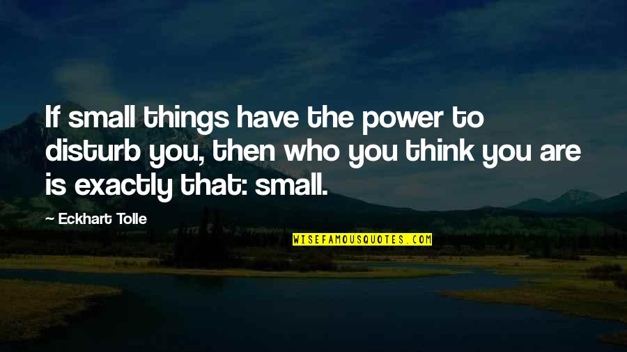 Exactly Who You Are Quotes By Eckhart Tolle: If small things have the power to disturb
