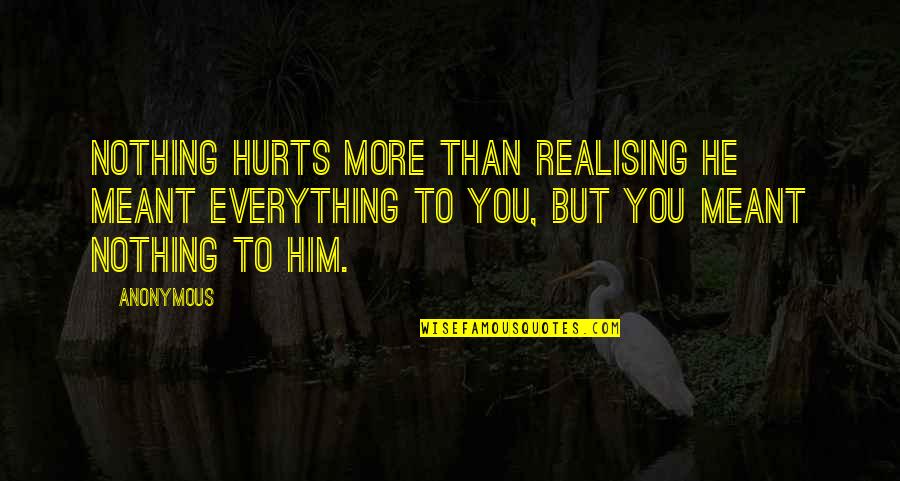 Exagerada Sinonimo Quotes By Anonymous: Nothing hurts more than realising he meant everything