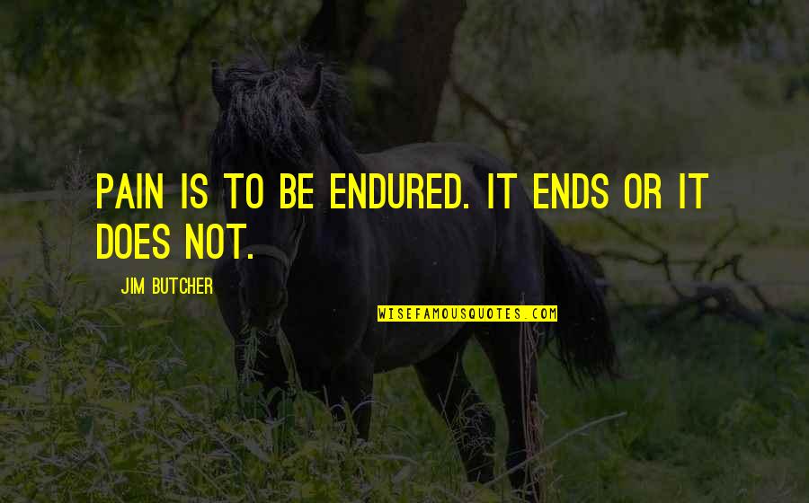 Exaktor Quotes By Jim Butcher: Pain is to be endured. It ends or