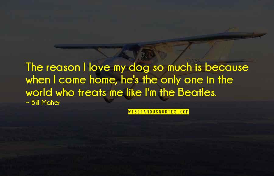 Exaltar Al Quotes By Bill Maher: The reason I love my dog so much