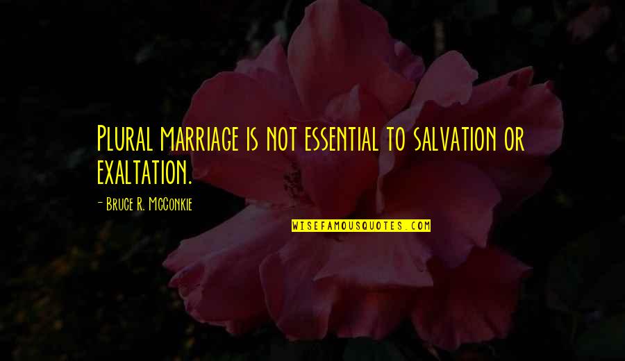 Exaltation Quotes By Bruce R. McConkie: Plural marriage is not essential to salvation or