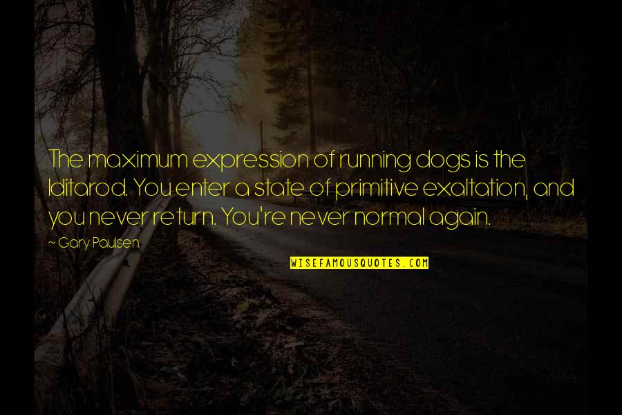 Exaltation Quotes By Gary Paulsen: The maximum expression of running dogs is the