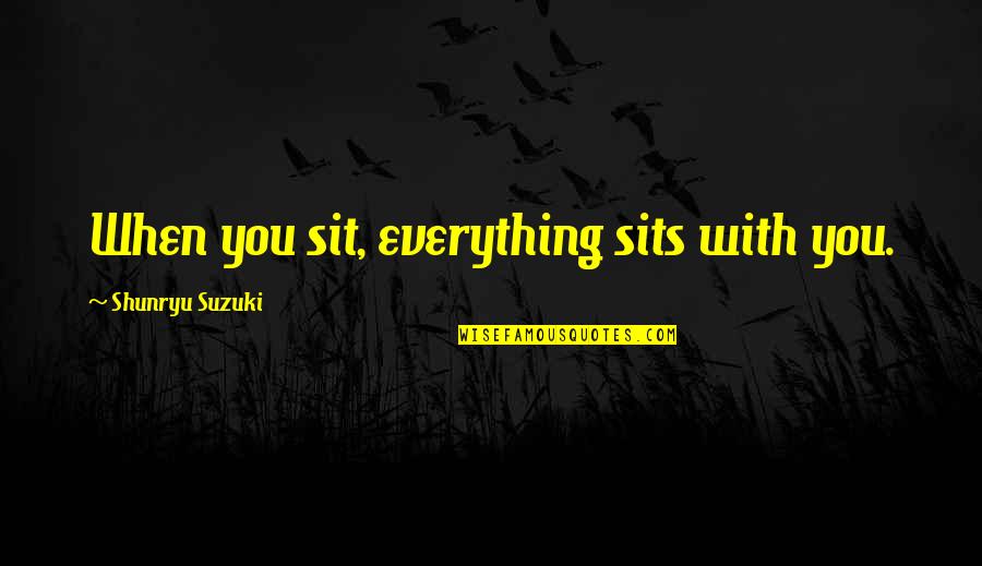 Exam Time Study Quotes By Shunryu Suzuki: When you sit, everything sits with you.