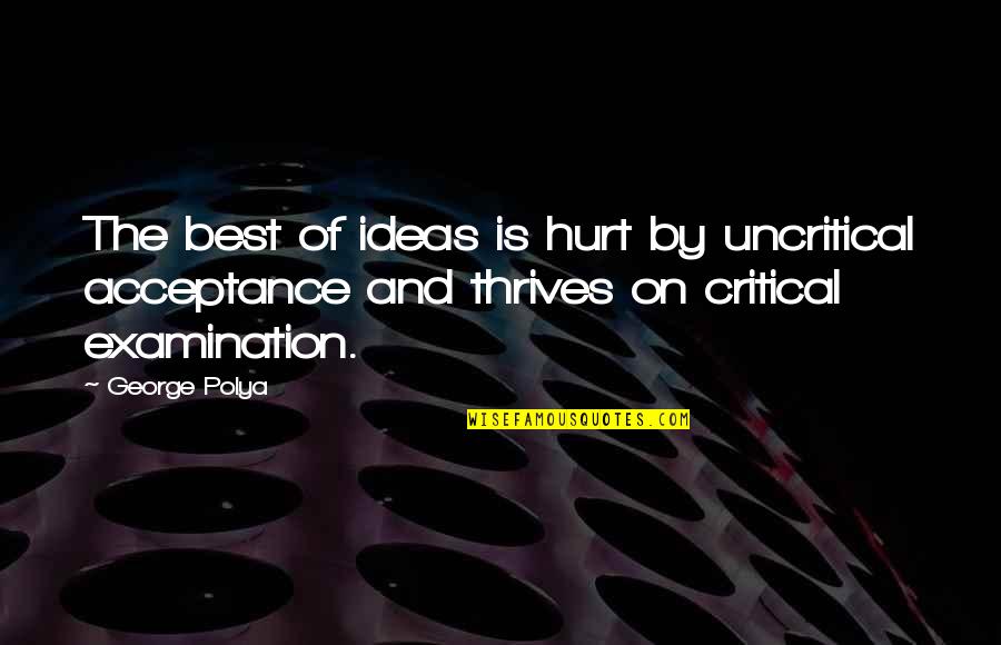 Examination Over Quotes By George Polya: The best of ideas is hurt by uncritical Examination Over Quotes By George Polya: The best of ideas is hurt by uncritical