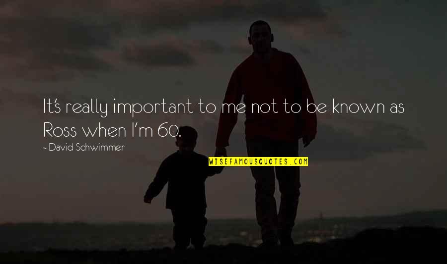 Examine Synonym Quotes By David Schwimmer: It's really important to me not to be Examine Synonym Quotes By David Schwimmer: It's really important to me not to be