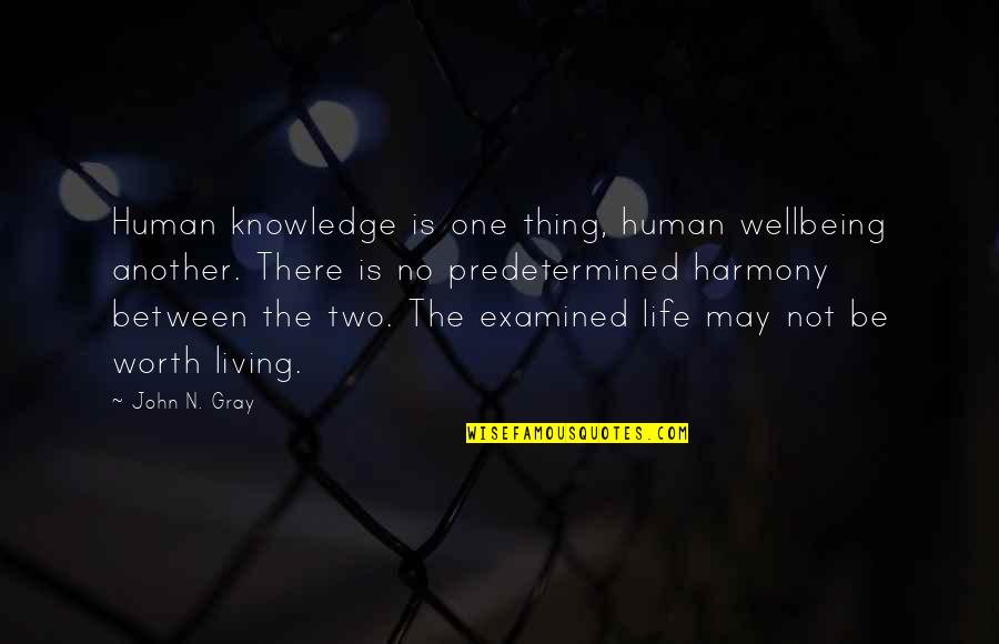 Examined Quotes By John N. Gray: Human knowledge is one thing, human wellbeing another.