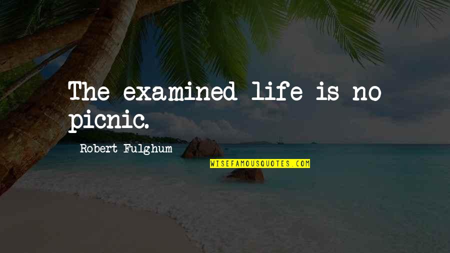 Examined Quotes By Robert Fulghum: The examined life is no picnic.