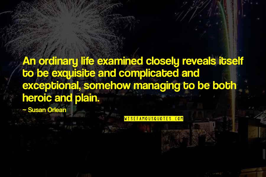 Examined Quotes By Susan Orlean: An ordinary life examined closely reveals itself to