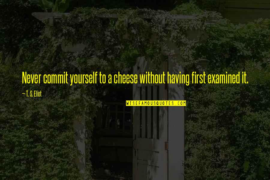 Examined Quotes By T. S. Eliot: Never commit yourself to a cheese without having