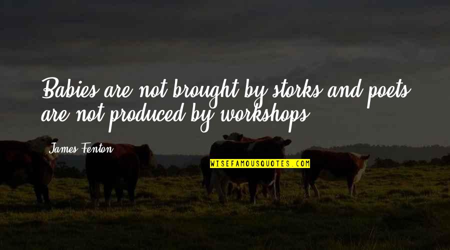 Example Of Mathematics Quotes By James Fenton: Babies are not brought by storks and poets
