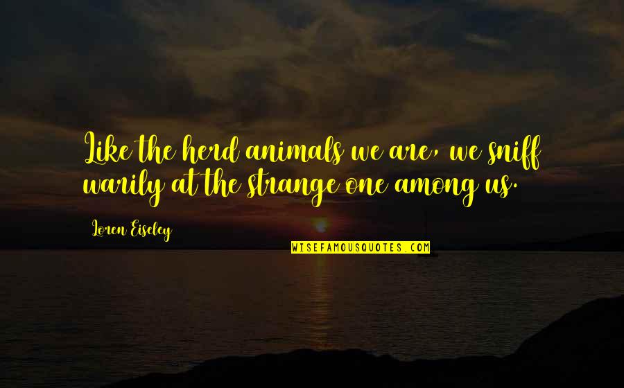 Excarcerate Quotes By Loren Eiseley: Like the herd animals we are, we sniff