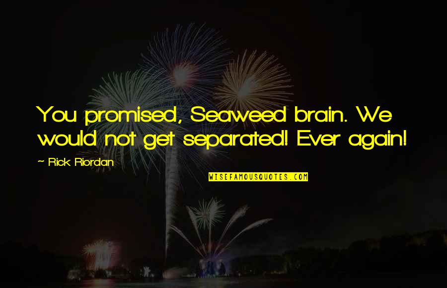 Excedrin Migraine Quotes By Rick Riordan: You promised, Seaweed brain. We would not get