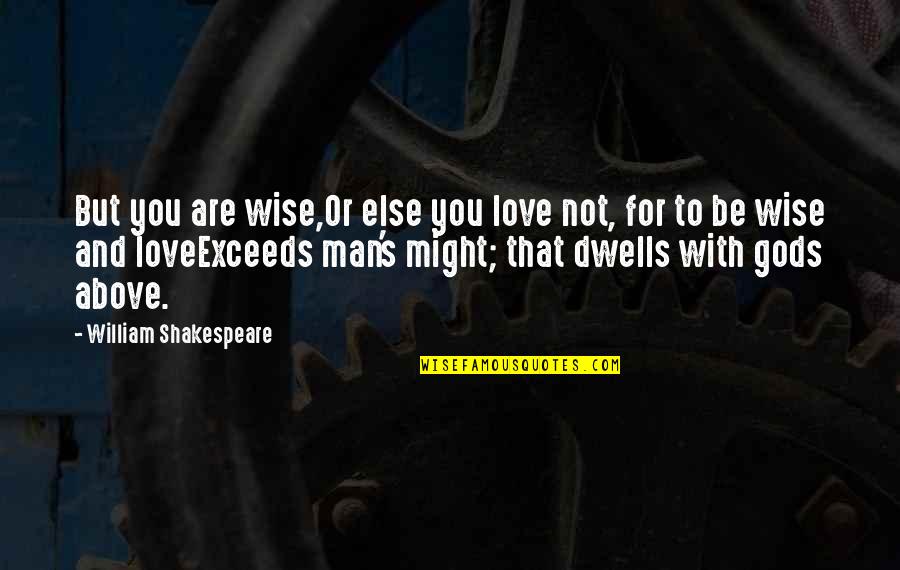 Exceeds Quotes By William Shakespeare: But you are wise,Or else you love not,