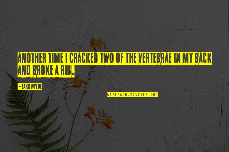 Excellemce Quotes By Zakk Wylde: Another time I cracked two of the vertebrae